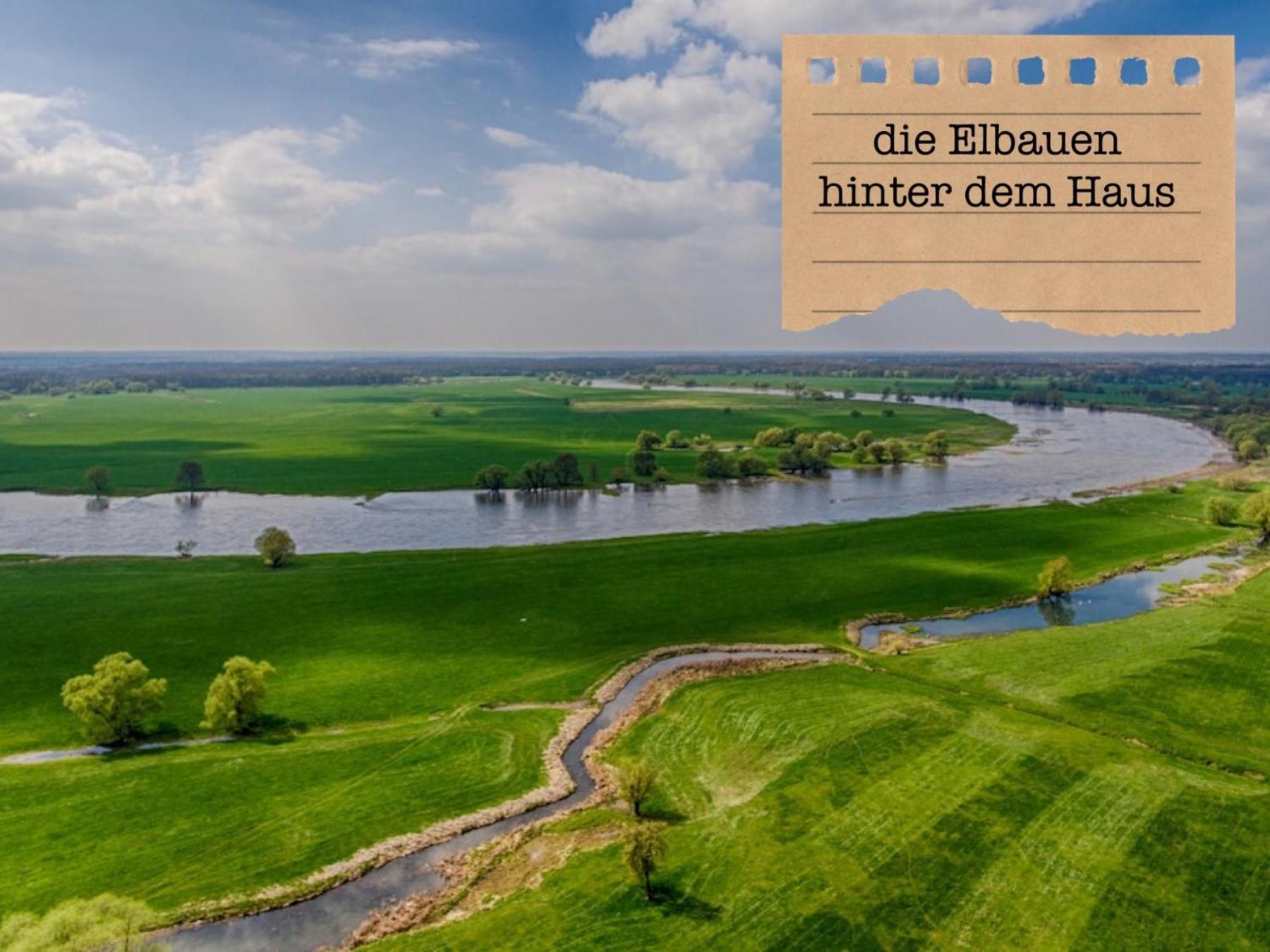 Alte Schule Wittenberg, 3 Ferienwohnungen Fuer Bis Zu 12 Personen, An Der Elbe, Mit Garten Exterior foto