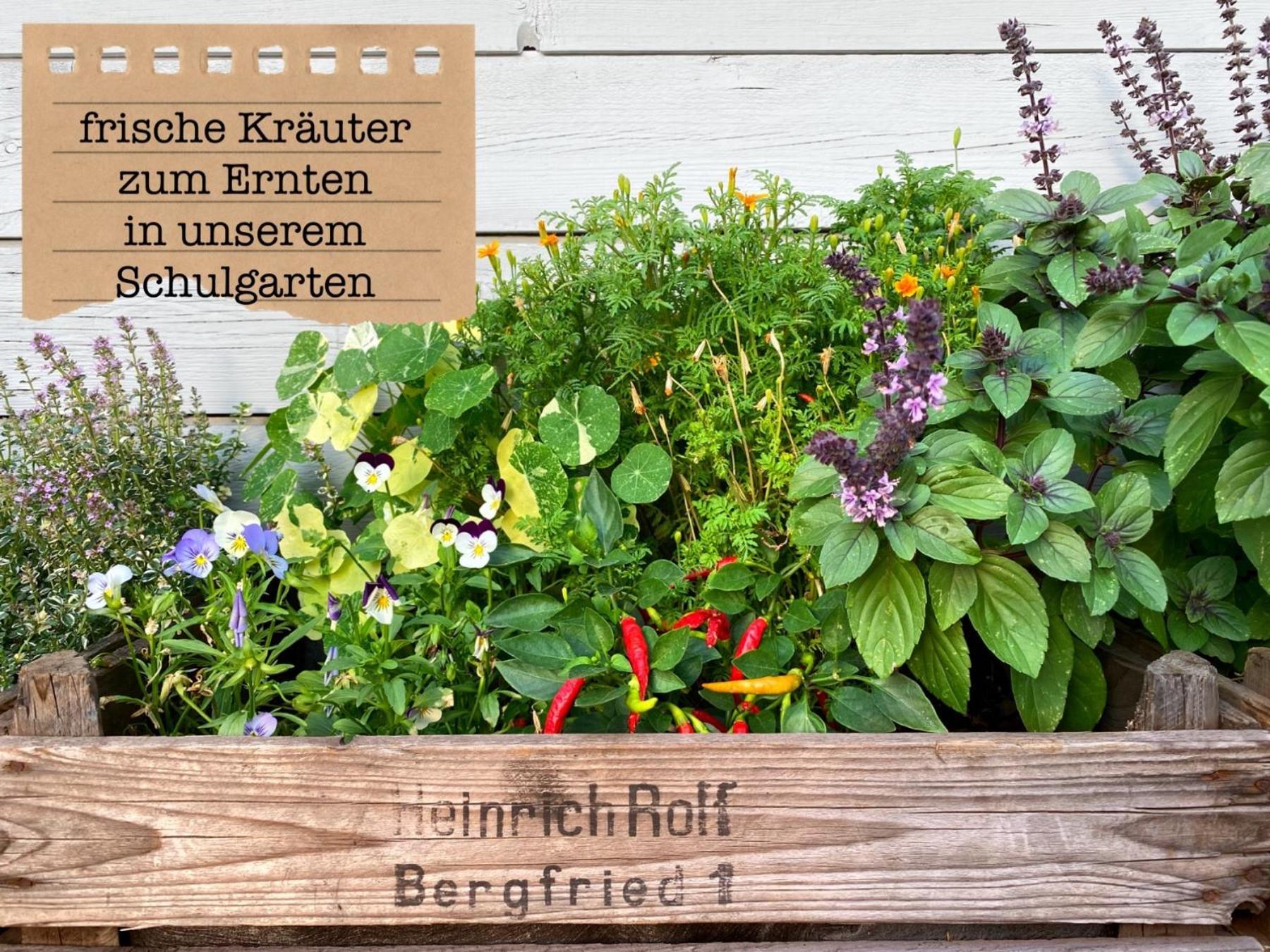 Alte Schule Wittenberg, 3 Ferienwohnungen Fuer Bis Zu 12 Personen, An Der Elbe, Mit Garten Exterior foto