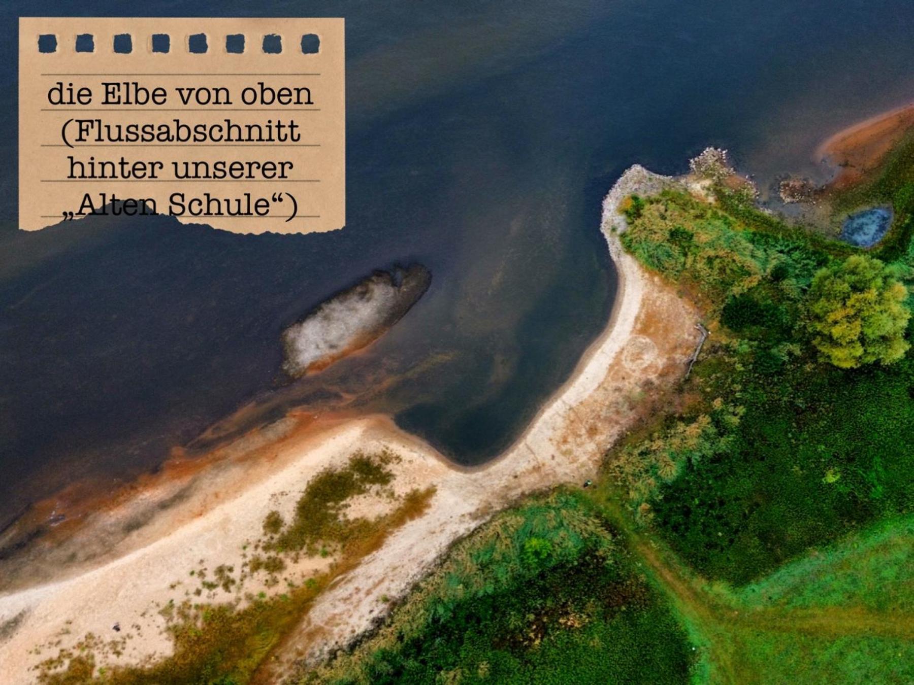 Alte Schule Wittenberg, 3 Ferienwohnungen Fuer Bis Zu 12 Personen, An Der Elbe, Mit Garten Exterior foto